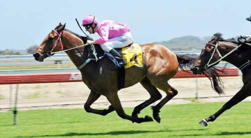 The Jim Jarvis-trained Power Quest has had a setback in his preparations for the 2010 Coffs Harbour VB Gold Cup, which is only 43 days away. The Jim Jarvis-trained Power Quest has had a setback in his preparations for the 2010 Coffs Harbour VB Gold Cup, which is only 43 days away.